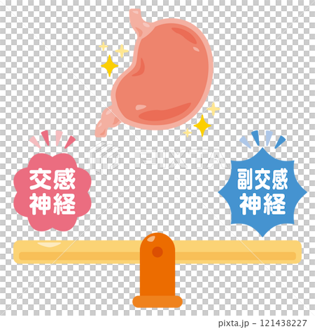 Illustration of a balanced autonomic nervous system and a healthy stomach Illustration of a balanced autonomic nervous system and a healthy stomach 121438227