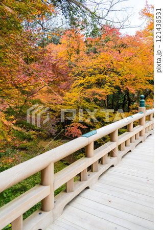 山中温泉の観光名所「鶴仙渓」|紅葉イメージ|観光イメージ|11月撮影|石川県加賀市 山中温泉の観光名所「鶴仙渓」|紅葉イメージ|観光イメージ|11月撮影|石川県加賀市 121438531