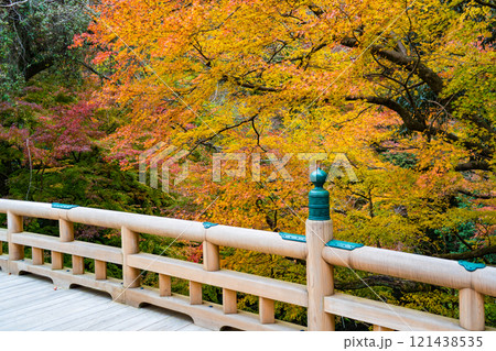 山中温泉の観光名所「鶴仙渓」|紅葉イメージ|観光イメージ|11月撮影|石川県加賀市 山中温泉の観光名所「鶴仙渓」|紅葉イメージ|観光イメージ|11月撮影|石川県加賀市 121438535