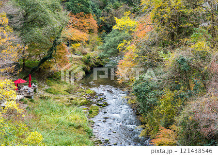 山中温泉の観光名所「鶴仙渓」｜紅葉イメージ｜観光イメージ｜11月撮影｜石川県加賀市 121438546