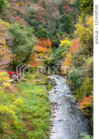 山中温泉の観光名所「鶴仙渓」｜紅葉イメージ｜観光イメージ｜11月撮影｜石川県加賀市 121438548