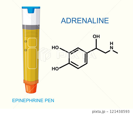 Epinephrine Pen and Adrenaline Structure 121438593