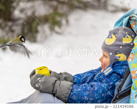 The Great tit eats seeds from a palm of little boy. Hungry bird Great tit eating seeds from a hand during autumn 121439166