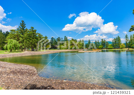 毛越寺庭園　世界遺産「平泉―仏国土（浄土）を表す建築・庭園及び考古学的遺跡群―」　岩手県 121439321