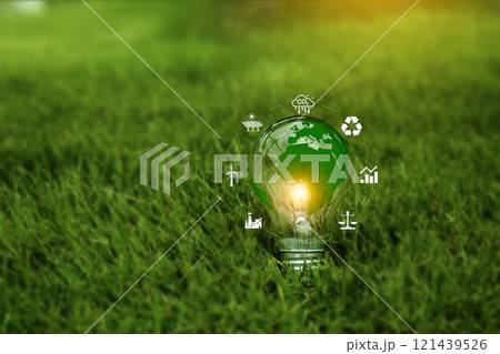 Green energy concept. light bulb on grass nature, eco green energy system. Innovation technology eco energy. light bulb energy sources for renewable. innovation inspiration. Idea innovative. Green energy concept. light bulb on grass nature, eco green energy system. Innovation technology eco energy. light bulb energy sources for renewable. innovation inspiration. Idea innovative. 121439526