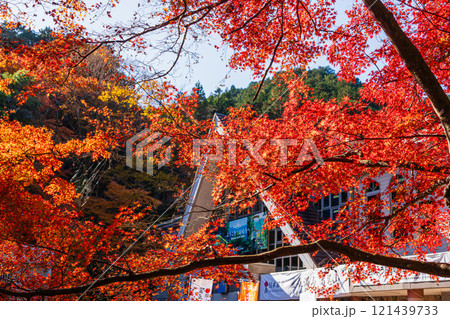 朝日が差し込む秋の高尾山京王線清滝駅前 121439733