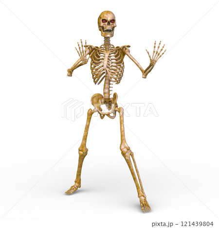 骸骨 骸骨 121439804