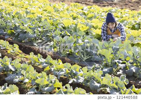 畑で働く農家の風景 121440588