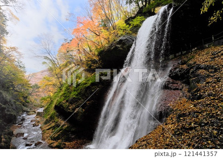 信州高山村 秋の松川渓谷 雷滝を紅葉が彩る 121441357