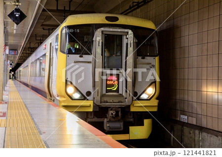 東京駅地下ホームに停車中のE257系特急わかしお 東京駅地下ホームに停車中のE257系特急わかしお 121441821