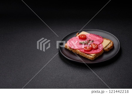 Sandwich with toast, salami slices, cheese and tomatoes, salt and spices Sandwich with toast, salami slices, cheese and tomatoes, salt and spices 121442218