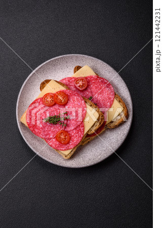 Sandwich with toast, salami slices, cheese and tomatoes, salt and spices Sandwich with toast, salami slices, cheese and tomatoes, salt and spices 121442231