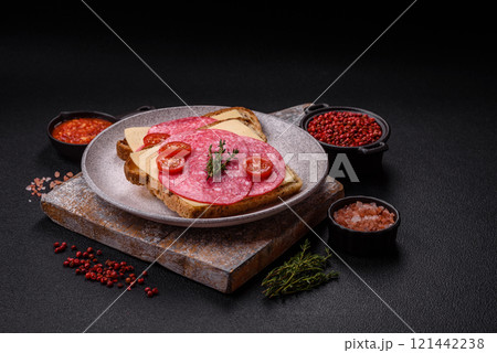 Sandwich with toast, salami slices, cheese and tomatoes, salt and spices 121442238