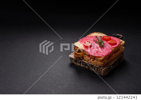 Sandwich with toast, salami slices, cheese and tomatoes, salt and spices Sandwich with toast, salami slices, cheese and tomatoes, salt and spices 121442241