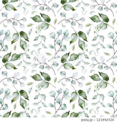 Watercolor greenery plants and eucalyptus delicate seamless pattern isolated. Foliage texture of rippled twigs hand drawn in dusty green. Holly leaves seamless background for design textile, packaging 121442520