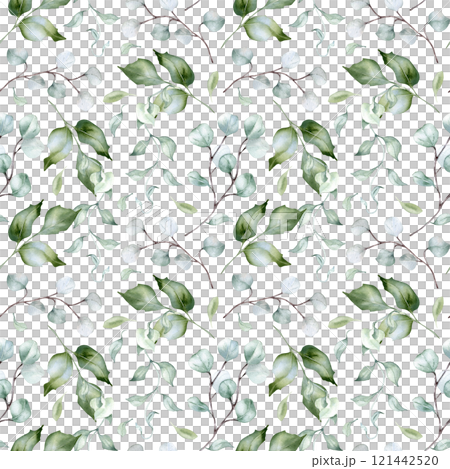 Watercolor greenery plants and eucalyptus delicate seamless pattern isolated. Foliage texture of rippled twigs hand drawn in dusty green. Holly leaves seamless background for design textile, packaging 121442520