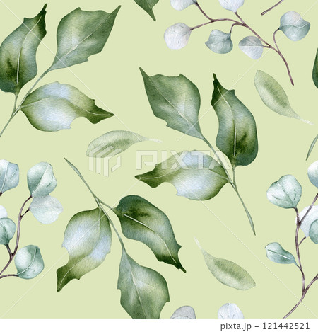 Watercolor holly leaves pale green seamless pattern isolated. Soft green foliage texture repeated of twigs and branches hand drawn. Greenery background for design textile, wallpaper, package. 121442521