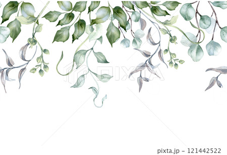 Watercolor seamless border of foliage in sage green colors isolated. Dusty green leaves holly, eucalyptus branches, wavy vines hand drawn. Botanical greenery repeating background for template, banner. 121442522