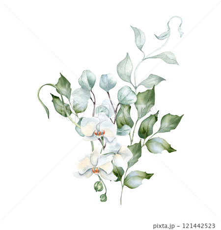 White orchids, wavy branches in delicate floral bouquet in pastel watercolor isolated. Foliage eucalyptus and holly hand drawn. Bunch with flowers and leaves for greenery nature design, wedding card. 121442523