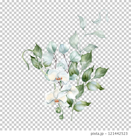 White orchids, wavy branches in delicate floral bouquet in pastel watercolor isolated. Foliage eucalyptus and holly hand drawn. Bunch with flowers and leaves for greenery nature design, wedding card. 121442523
