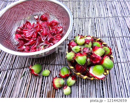 ローズヒップ ローズヒップ 121442659