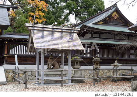 丹後一宮 元伊勢 籠神社 阿行の狛犬 丹後一宮 元伊勢 籠神社 阿行の狛犬 121443263
