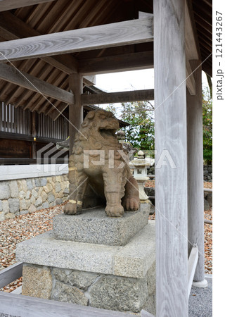 丹後一宮 元伊勢 籠神社 阿行の狛犬 丹後一宮 元伊勢 籠神社 阿行の狛犬 121443267