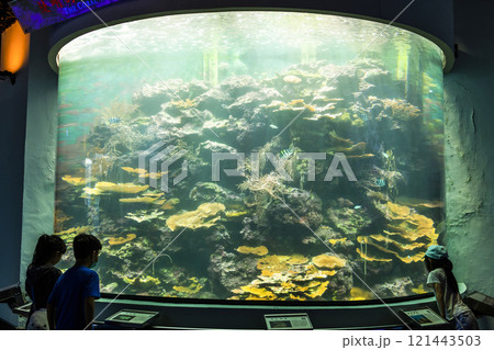 View of the coral aquarium at the National Museum of Marine Biology and Aquarium in Kenting National Park of Pingtung, Taiwan. View of the coral aquarium at the National Museum of Marine Biology and Aquarium in Kenting National Park of Pingtung, Taiwan. 121443503