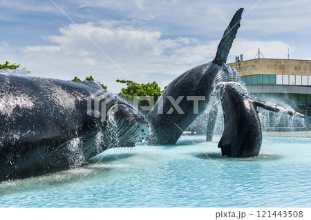 View of the Whale Water Square at the National Museum of Marine Biology and Aquarium in Kenting National Park of Pingtung, Taiwan. 121443508