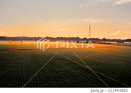 美し海老名市の田園の風景を一年を通して写す 121443603