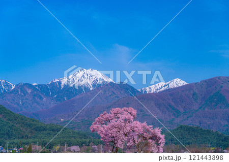 【桜素材】安曇野市春の原風景・常念道祖神の桜【長野県】 【桜素材】安曇野市春の原風景・常念道祖神の桜【長野県】 121443898