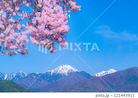 【桜素材】安曇野市春の原風景・常念道祖神の桜【長野県】 121443911