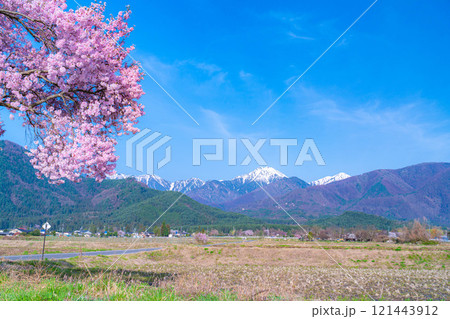 【桜素材】安曇野市春の原風景・常念道祖神の桜【長野県】 【桜素材】安曇野市春の原風景・常念道祖神の桜【長野県】 121443912