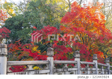 秋の京都 大谷本廟 紅葉に包まれた円通橋(めがね橋) 秋の京都 大谷本廟 紅葉に包まれた円通橋(めがね橋) 121443924