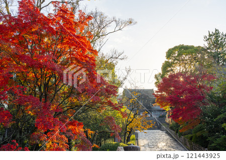 秋の京都　大谷本廟　紅葉に包まれた総門 121443925