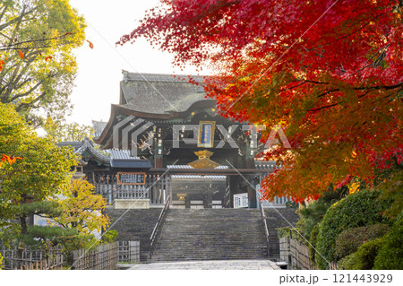 秋の京都 大谷本廟 紅葉に包まれた総門 秋の京都 大谷本廟 紅葉に包まれた総門 121443929