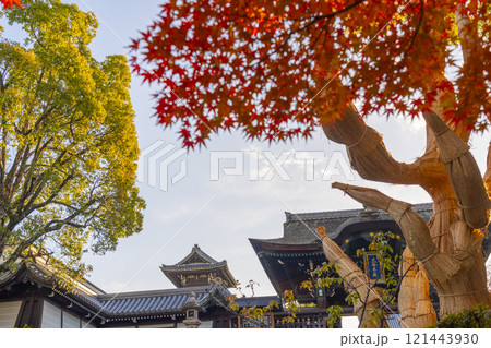 秋の京都　大谷本廟　紅葉に包まれた総門 121443930