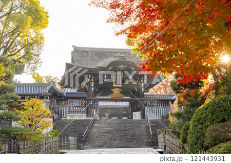 秋の京都 大谷本廟 紅葉に包まれた総門 秋の京都 大谷本廟 紅葉に包まれた総門 121443931