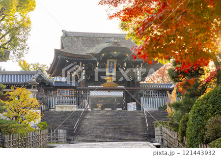 秋の京都　大谷本廟　紅葉に包まれた総門 121443932