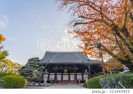 秋の京都　大谷本廟　紅葉に包まれた仏殿 121443933