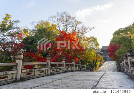 秋の京都　大谷本廟　紅葉に包まれた円通橋(めがね橋) 121443936