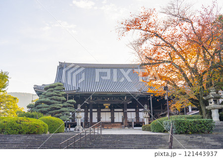 秋の京都 大谷本廟 紅葉に包まれた仏殿 秋の京都 大谷本廟 紅葉に包まれた仏殿 121443937