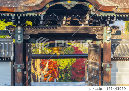 秋の京都　大谷本廟　総門から見える紅葉 121443939