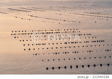 【港素材】大船渡湾の朝焼け【岩手県】 【港素材】大船渡湾の朝焼け【岩手県】 121444180