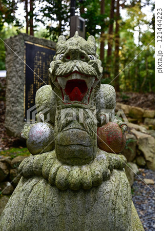 奥宮　眞名井神社（真名井神社）阿行の狛龍 121444223