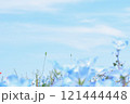 青い空とネモフィラ 121444448