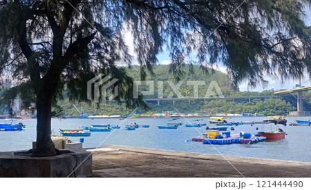 Tree, garden floor, fishing boat on water bay in Hong Kong outdoor public park Tree, garden floor, fishing boat on water bay in Hong Kong outdoor public park 121444490