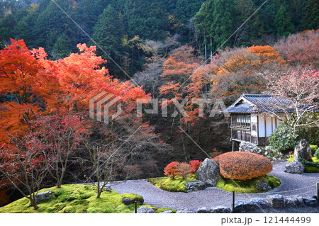 晩秋の京都市左京区大原 古知谷阿弥陀寺 121444499