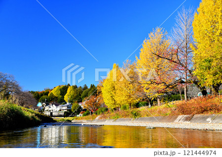 都立 陵南公園周辺／南浅川(東京都八王子市)【2024.11】 121444974