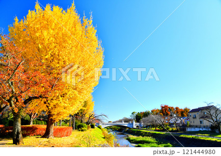 都立 陵南公園周辺／南浅川(東京都八王子市)【2024.11】 121444980